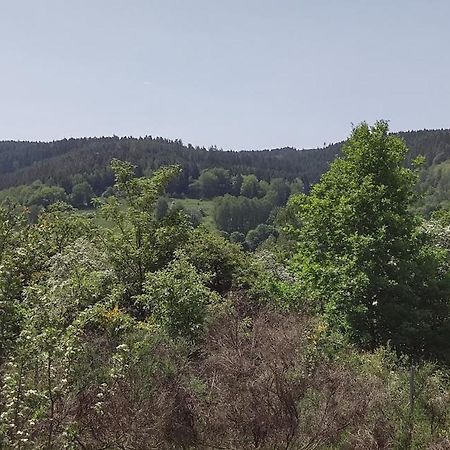Sessles Waldhaeusschen Dietzhausen Suhl Bagian luar foto