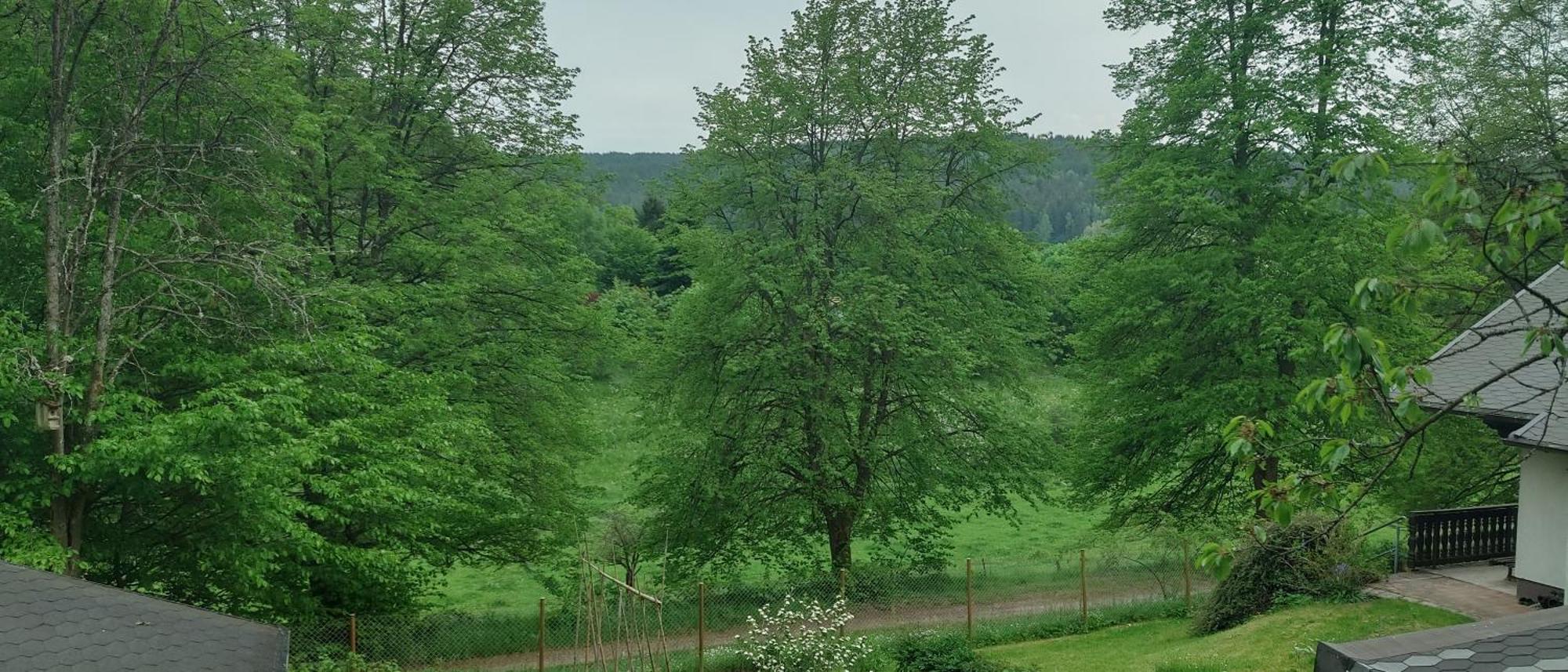 Sessles Waldhaeusschen Dietzhausen Suhl Bagian luar foto