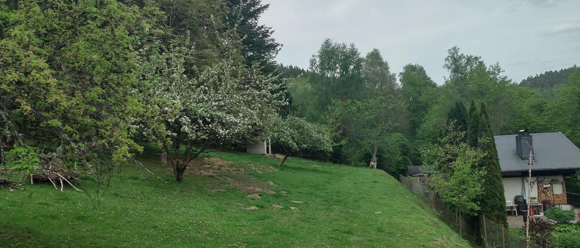 Sessles Waldhaeusschen Dietzhausen Suhl Bagian luar foto