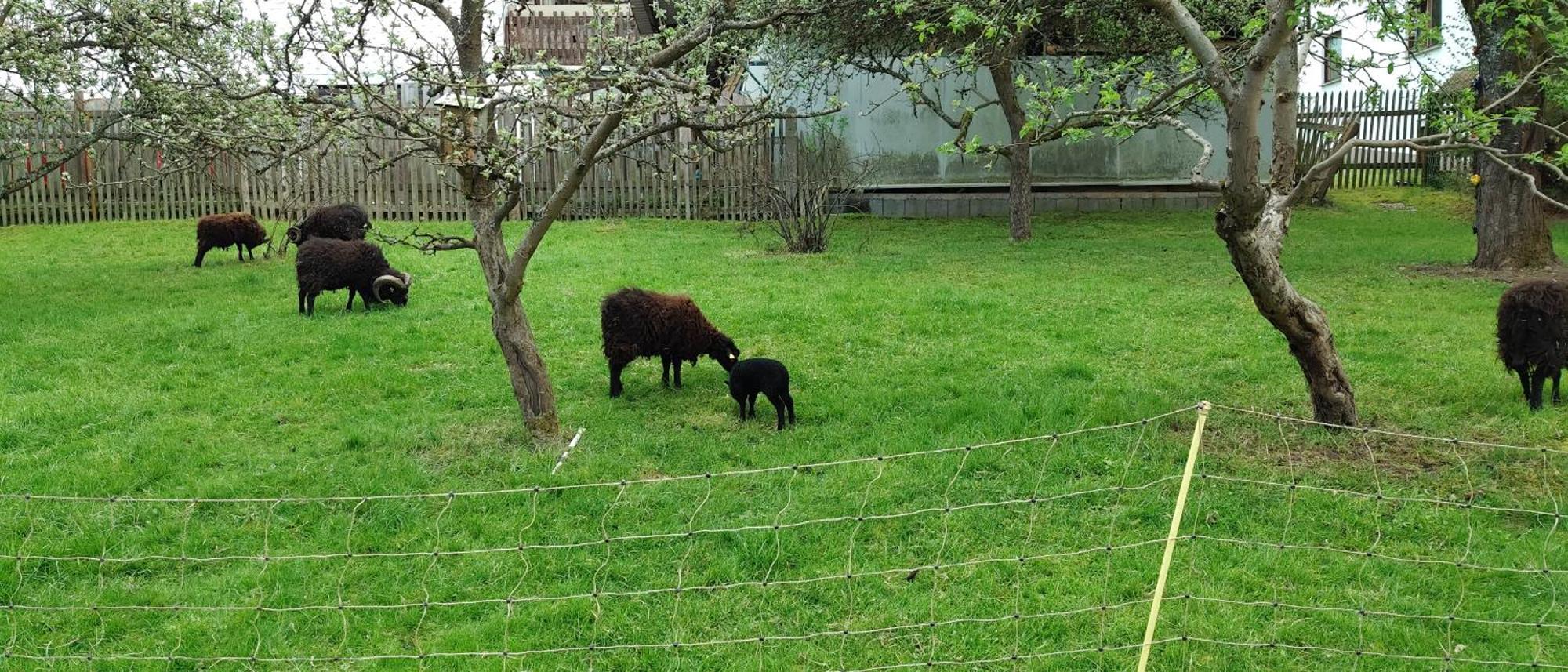 Sessles Waldhaeusschen Dietzhausen Suhl Bagian luar foto