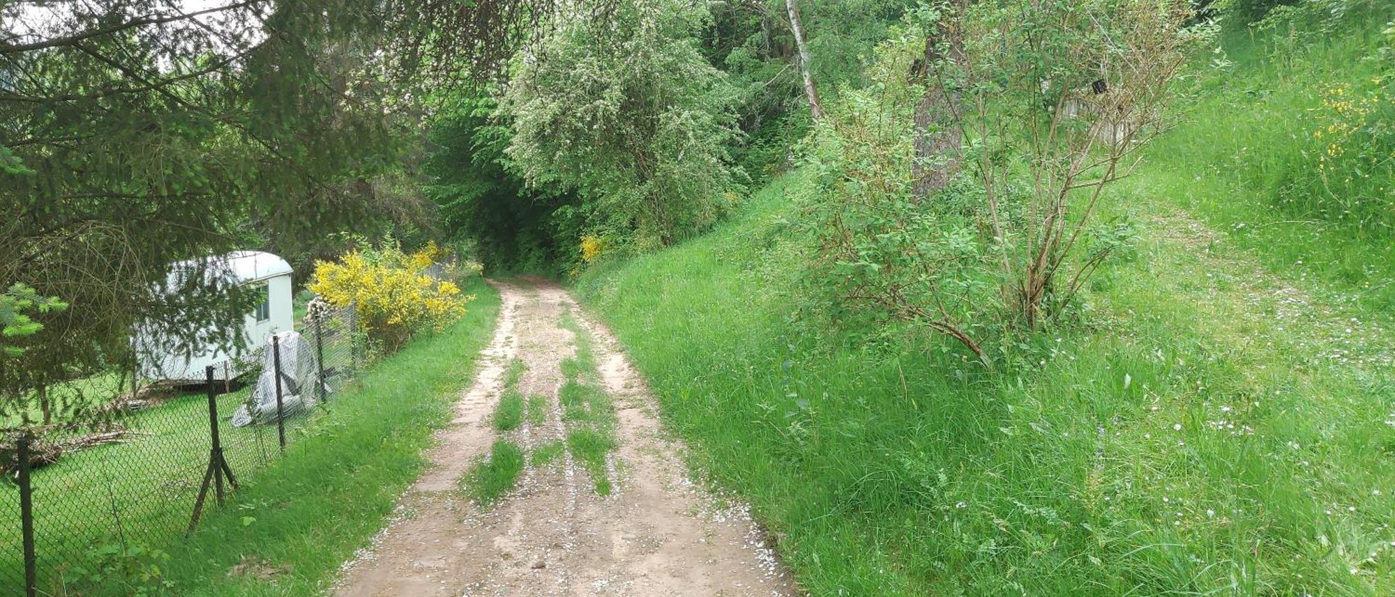Sessles Waldhaeusschen Dietzhausen Suhl Bagian luar foto