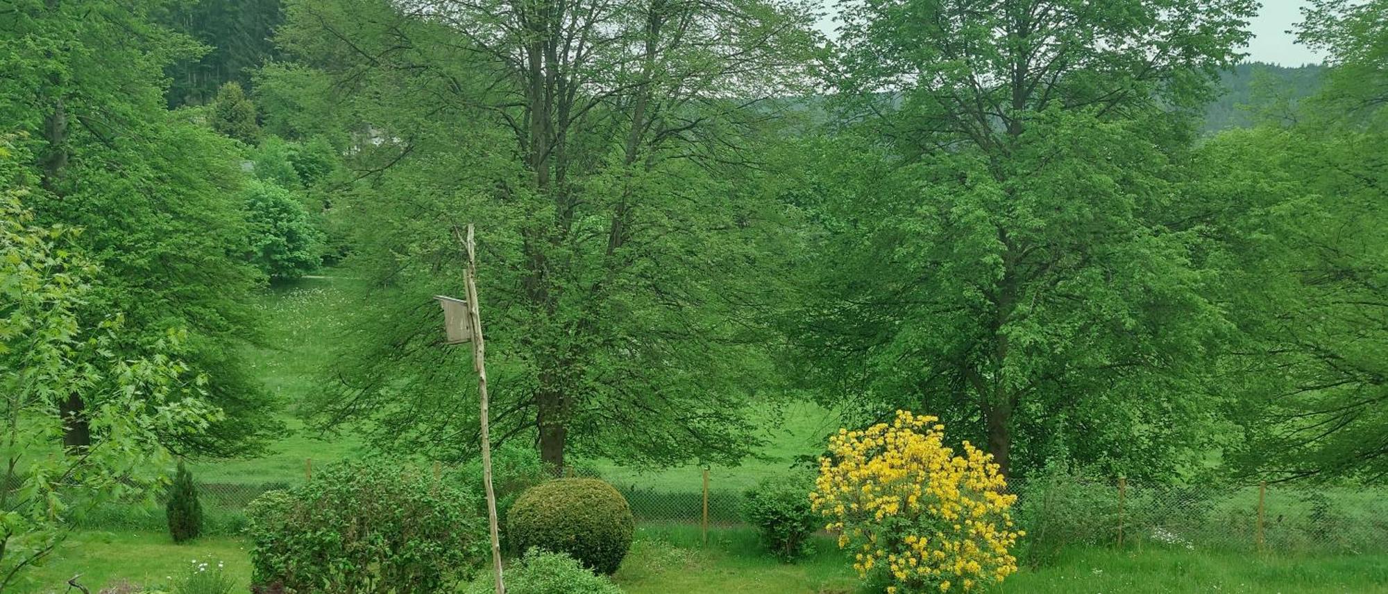 Sessles Waldhaeusschen Dietzhausen Suhl Bagian luar foto
